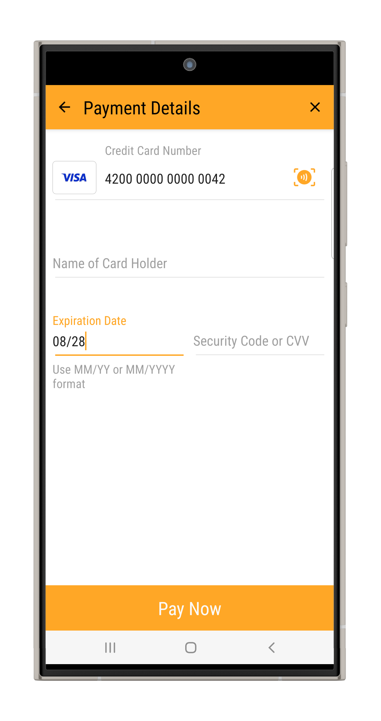 Store payment details during payment